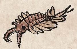 Boss Anomalocaris PU