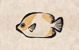 Pyramid butterflyFish PU