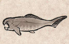 Dunkleosteus PU