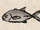 Bigeye Trevally
