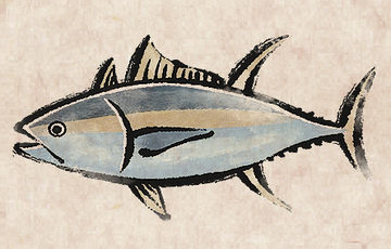 Tuna diver deals