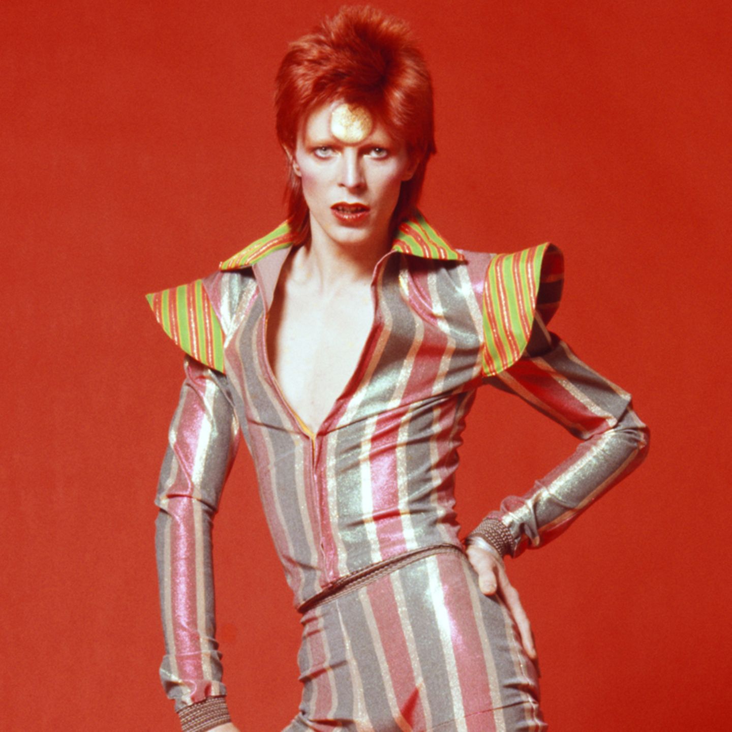 David Bowie, David Bowie Wiki