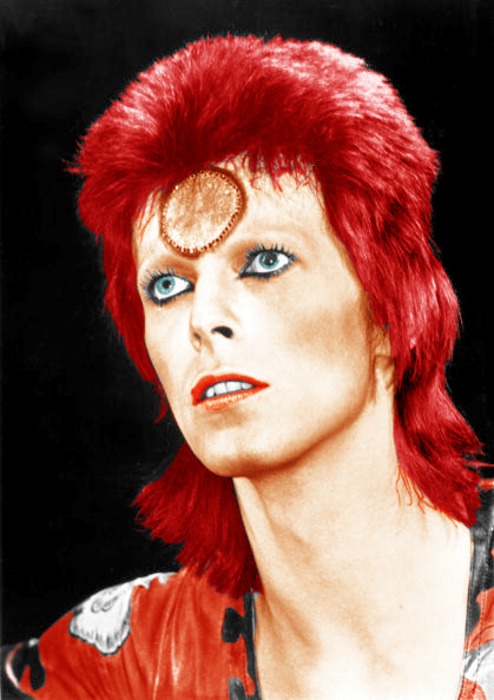 Ziggy Stardust 7391