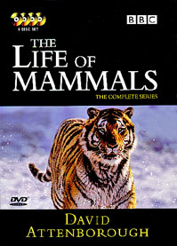 洋画・外国映画 DVD BBC THE LIFE OF MAMMALS Amazon.com: The Life of Mammals [DVD] : David Attenborough