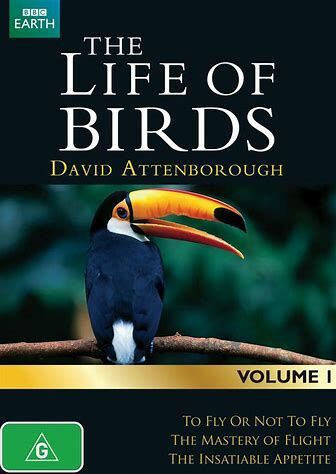 The Life of Birds | David Attenborough Wiki | Fandom