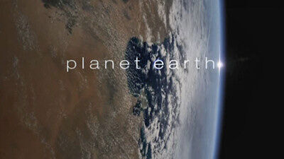 SURVIVING ON GIANT PLANET EARTH! (EP 1) 