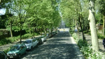 Viale Niccolò Machiavelli (Niccolò Machiavelli Avenue), Florence