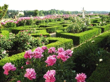 Boboli Gardens, Florence