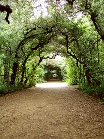 La Cerchiata, Boboli Gardens, Florence