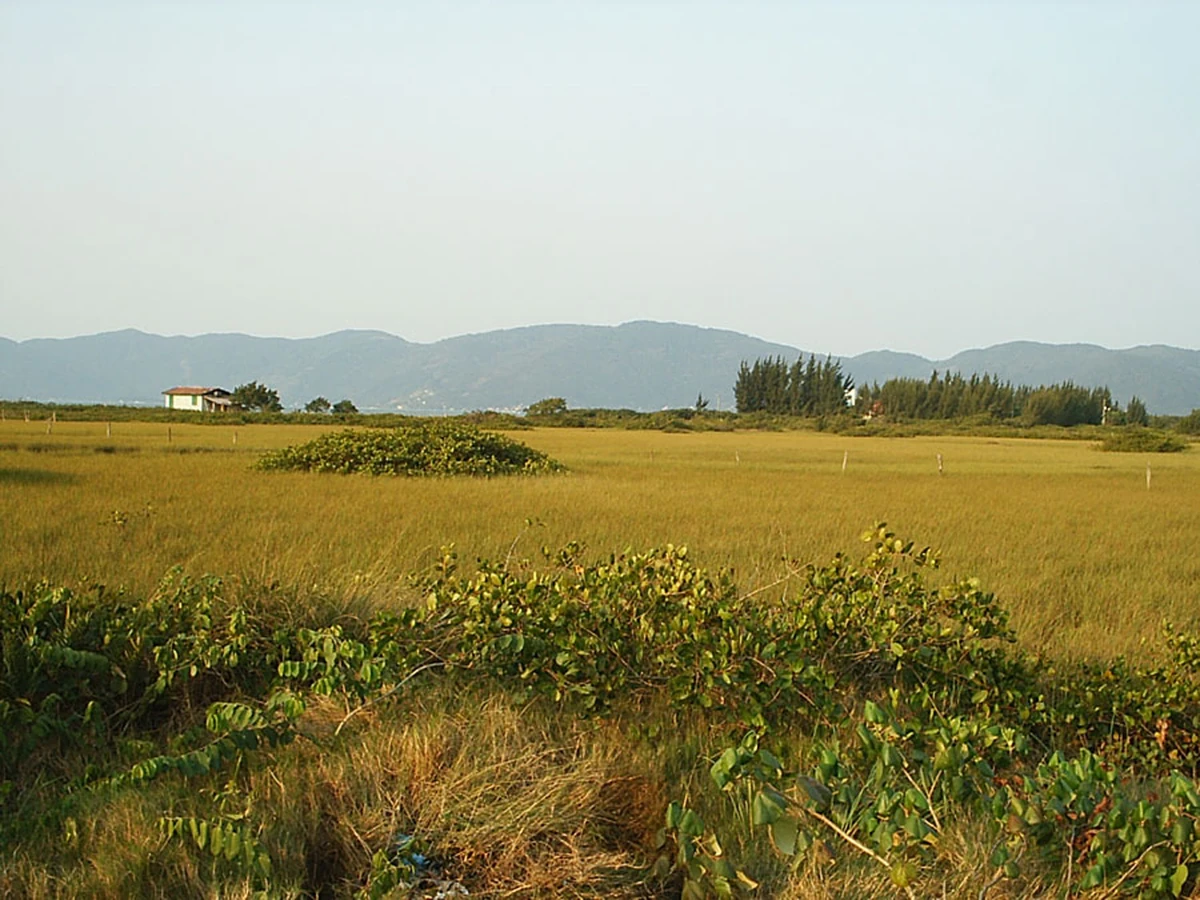 Plains | Dawn of These Clans Wikia | Fandom