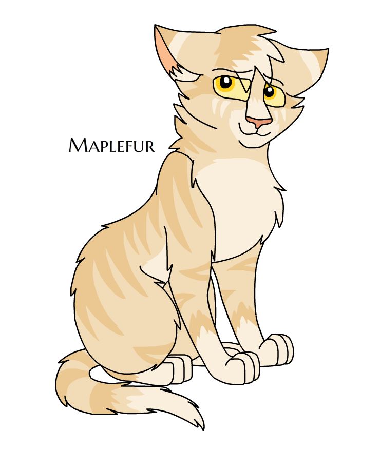 Maplefur Dawnmistfanfiction Wiki Fandom