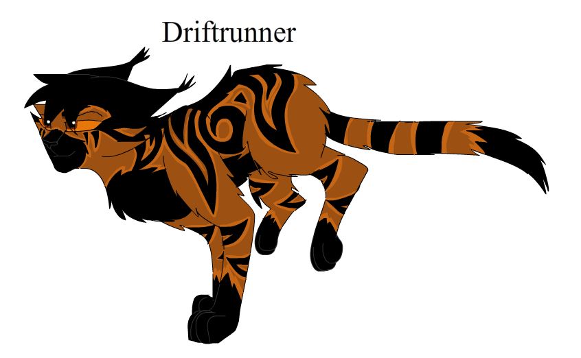 Driftrunner | Dawnmistfanfiction Wiki | Fandom