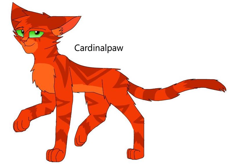 Cardinalpaw Dawnmistfanfiction Wiki Fandom Cardinalpaw Dawnmistfanfiction Wiki Fandom