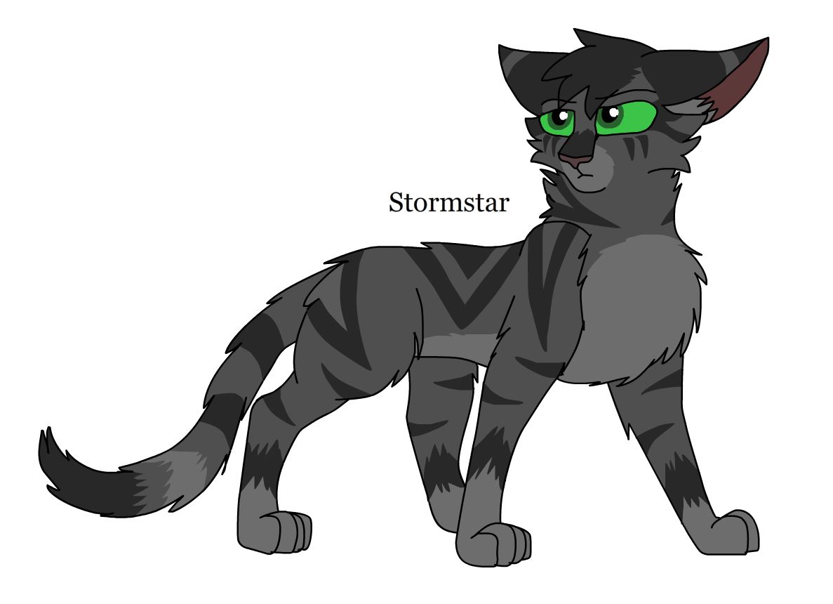 Stormstar Dawnmistfanfiction Wiki Fandom