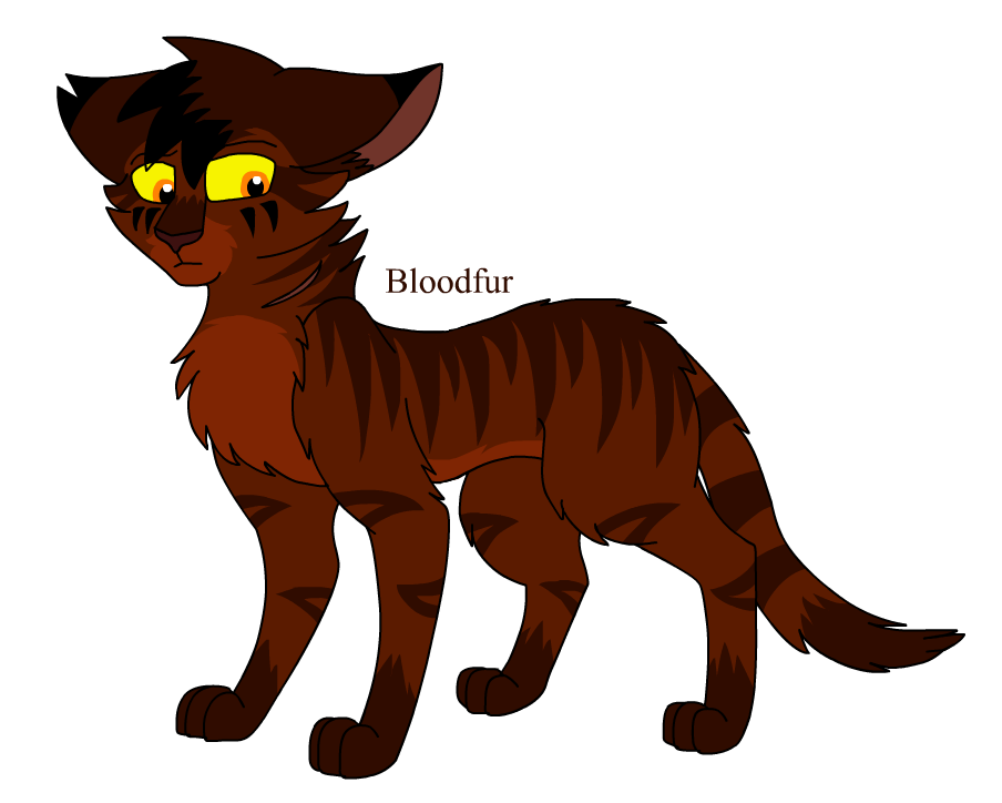 Nick's Warrior Cats Designs — the ultimate ashfur