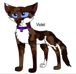 Violet (KP), Warriors Wiki