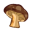 RoastedMushroom