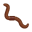 RoastedWorm