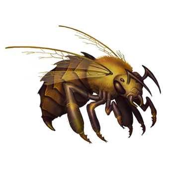 Bee