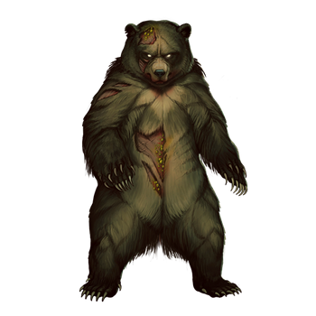 Rad bear