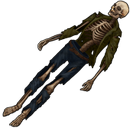 Skeleton2