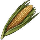 Corn.png