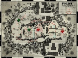 Forest-DoD-Map