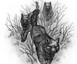 Скотобойня8.jpg