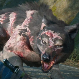 Tiere (1,88 MB) Tiere