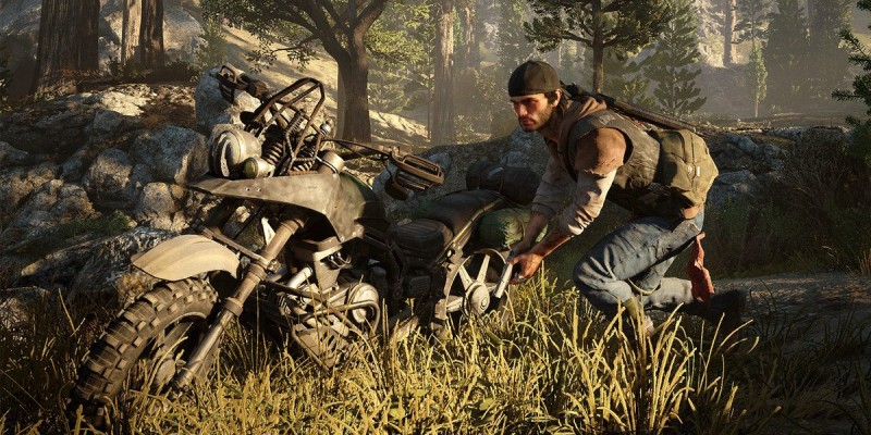 Bear, Days Gone Wiki