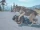 20230407 085110.gif