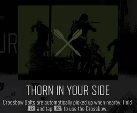 Thorn