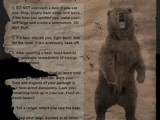 Bears? Where?! Black Bear Awareness Poster