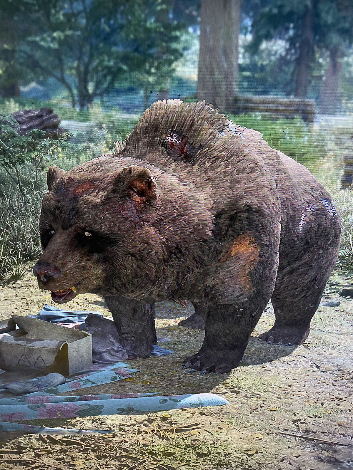 Bear, Days Gone Wiki