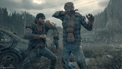 Bear, Days Gone Wiki