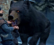 Yellow Eyes.png (1.39 MB) A bear with yellow eyes instead of normal eyes.