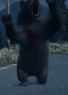 Bear Pouncde.png (625 KB) A bear attempting to pounce Deacon.