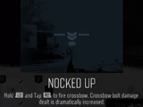 Nocked Up