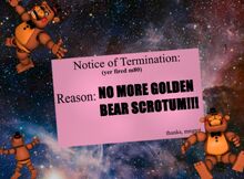 NO MORE GOLDEN BEAR SCROTUM