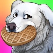 DirectDoggo's Twitter avatar. (2)