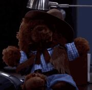 Duke the bear.jpeg