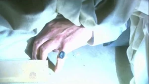 Stefano abandons the ring to fake his death.