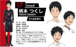 Tsukushi Tsukamoto Days Wikia Fandom