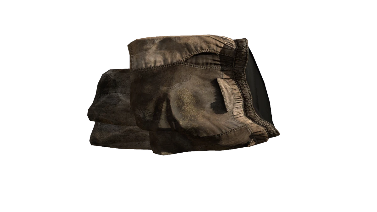 Beige Canvas Pants DayZ Standalone Wiki Fandom