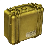 Small Protector Case | DayZ Standalone Wiki | Fandom