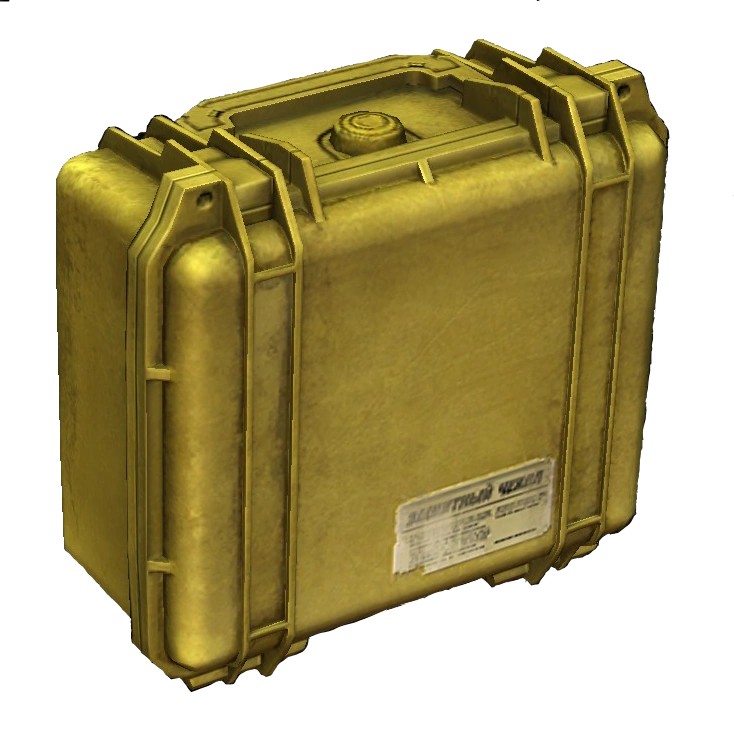 Small Protector Case | DayZ Standalone Wiki | Fandom