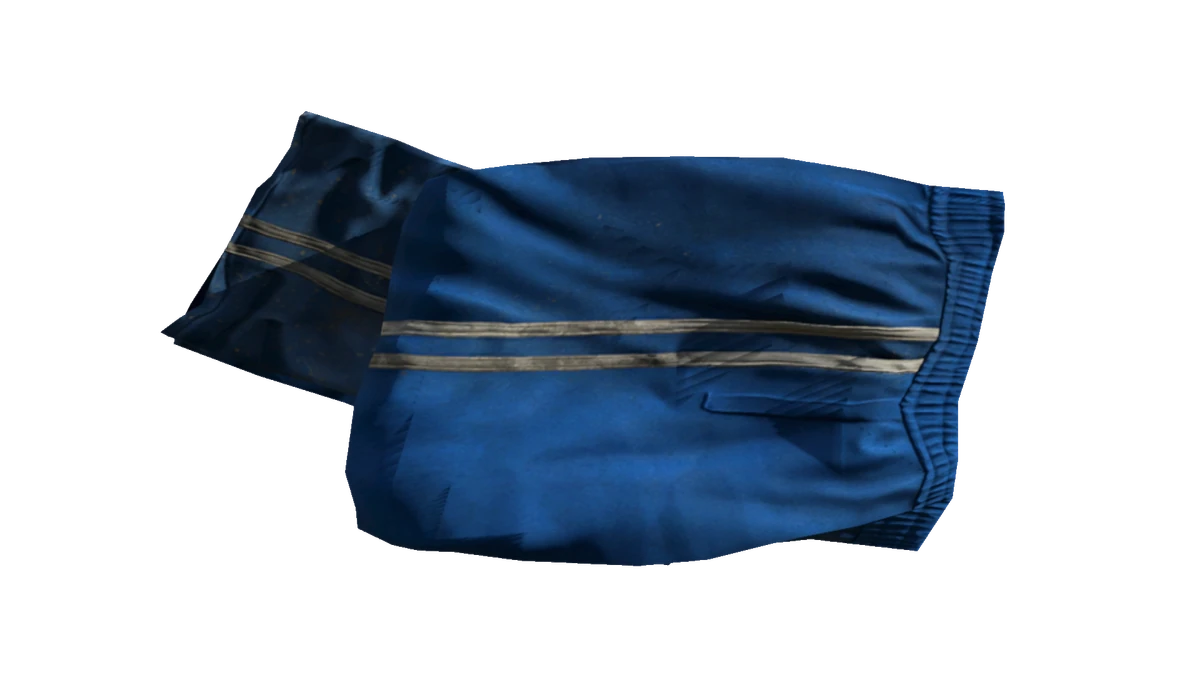 Light Blue Tracksuit Pants DayZ Standalone Wiki Fandom