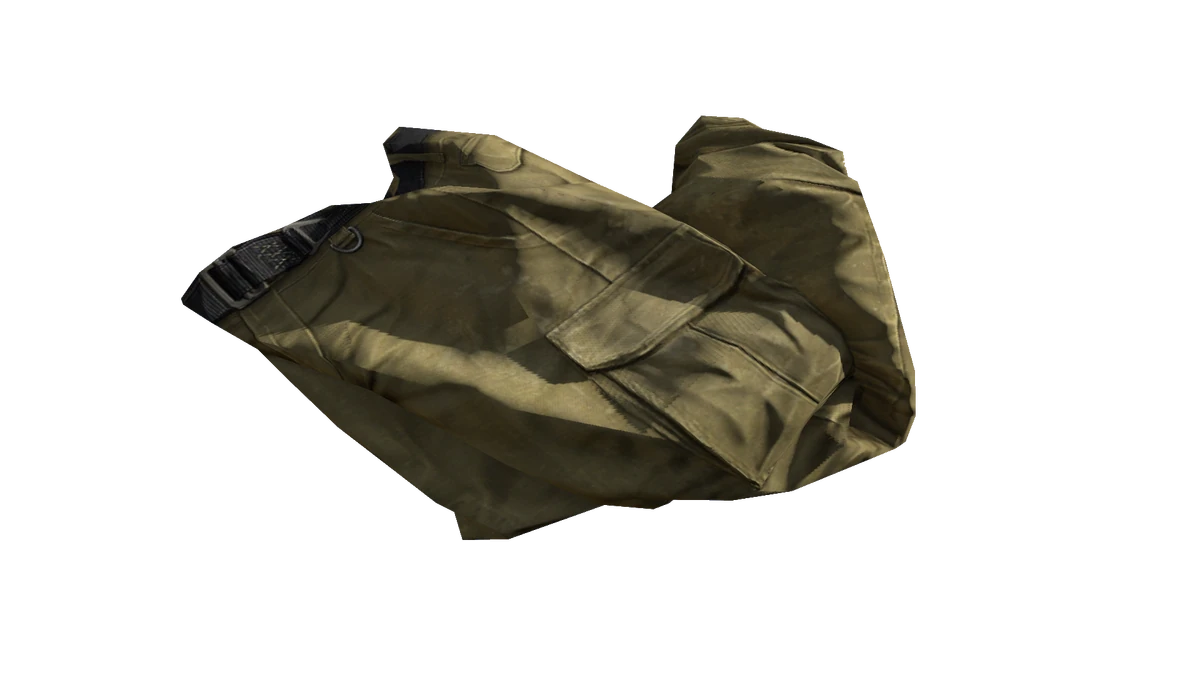 Beige Cargo Pants DayZ Standalone Wiki Fandom