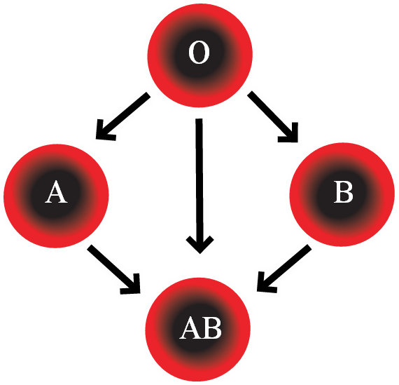 Chart: Who Can You Give Blood to?