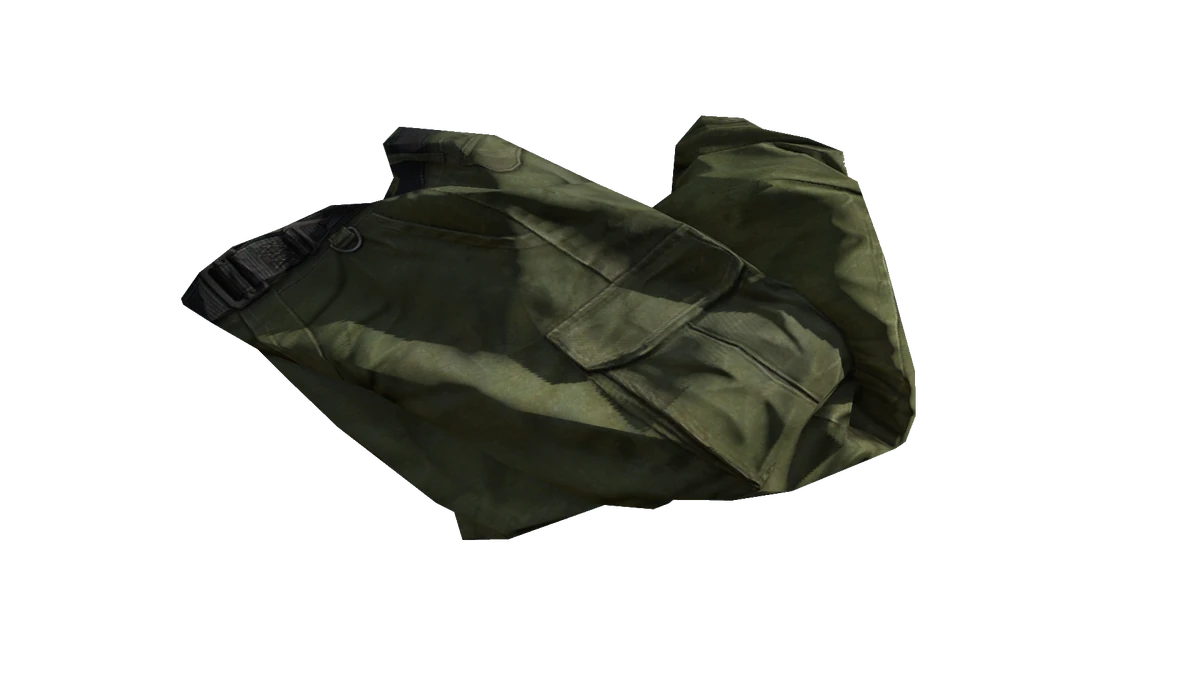 Green Cargo Pants DayZ Standalone Wiki Fandom